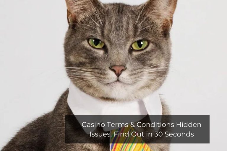 Legal Advice for New Online Casino Gamblers from “First Aid”